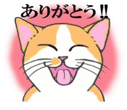 Cats of various coat colors sticker #9147589