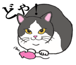 Cats of various coat colors sticker #9147590