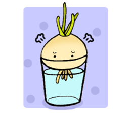Onion Story sticker #9155198