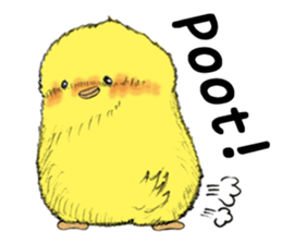 Dear Piyo Japan "English Version" sticker #9155646