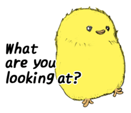 Dear Piyo Japan "English Version" sticker #9155647