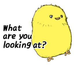 Dear Piyo Japan "English Version" sticker #9155647