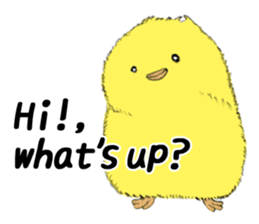 Dear Piyo Japan "English Version" sticker #9155659