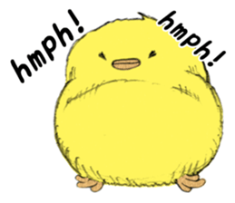 Dear Piyo Japan "English Version" sticker #9155668