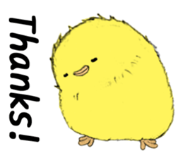 Dear Piyo Japan "English Version" sticker #9155671