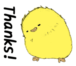 Dear Piyo Japan "English Version" sticker #9155671