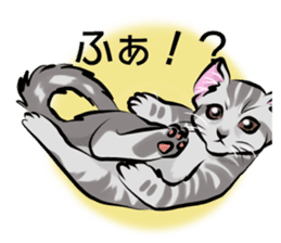 Lazy cat sticker + sticker #9159833