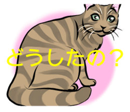 Lazy cat sticker + sticker #9159860