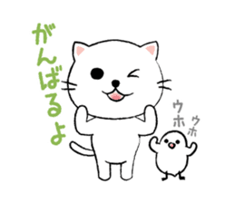 White cat's and Java sparrow,2 sticker #9162157
