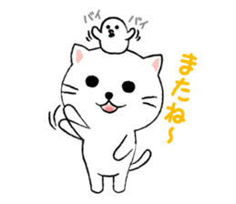 White cat's and Java sparrow,2 sticker #9162166