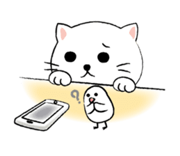 White cat's and Java sparrow,2 sticker #9162178