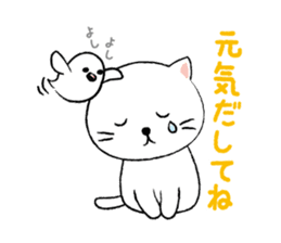 White cat's and Java sparrow,2 sticker #9162182