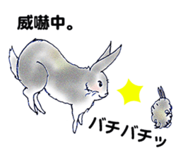 Small Rabbit Story8 sticker #9163521