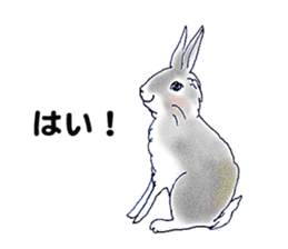 Small Rabbit Story8 sticker #9163522