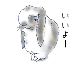 Small Rabbit Story8 sticker #9163546