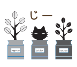 Black cat of ayuco North European ver sticker #9164827