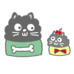 Pomeranian riku and yuki