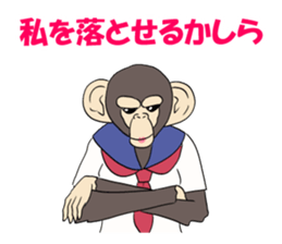 Lady monkey sticker #9166057