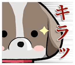 Cool Shih Tzu dog, Ponta. sticker #9166592