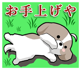 Cool Shih Tzu dog, Ponta. sticker #9166593