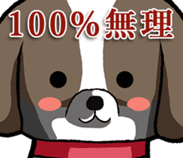 Cool Shih Tzu dog, Ponta. sticker #9166594