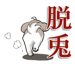 Cool Shih Tzu dog, Ponta. sticker #9166595