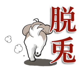 Cool Shih Tzu dog, Ponta. sticker #9166595