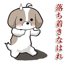Cool Shih Tzu dog, Ponta. sticker #9166597