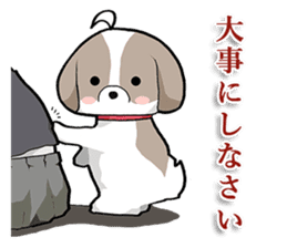 Cool Shih Tzu dog, Ponta. sticker #9166598