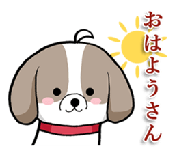 Cool Shih Tzu dog, Ponta. sticker #9166600