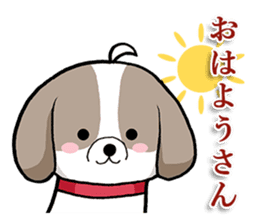 Cool Shih Tzu dog, Ponta. sticker #9166600