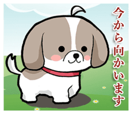Cool Shih Tzu dog, Ponta. sticker #9166604