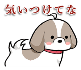 Cool Shih Tzu dog, Ponta. sticker #9166605