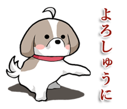 Cool Shih Tzu dog, Ponta. sticker #9166610