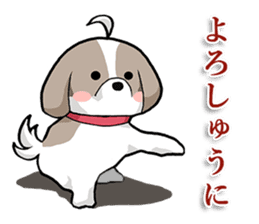 Cool Shih Tzu dog, Ponta. sticker #9166610