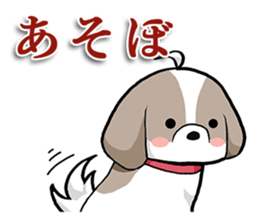 Cool Shih Tzu dog, Ponta. sticker #9166611