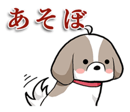 Cool Shih Tzu dog, Ponta. sticker #9166611