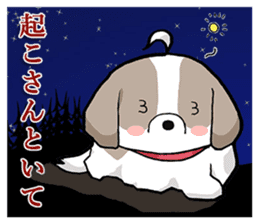 Cool Shih Tzu dog, Ponta. sticker #9166613