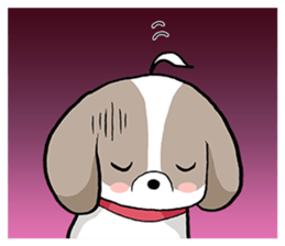 Cool Shih Tzu dog, Ponta. sticker #9166614