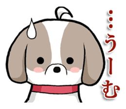 Cool Shih Tzu dog, Ponta. sticker #9166616