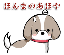 Cool Shih Tzu dog, Ponta. sticker #9166618