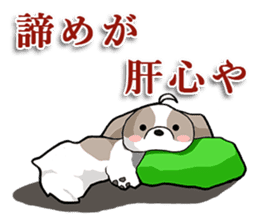 Cool Shih Tzu dog, Ponta. sticker #9166621