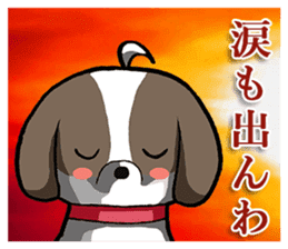 Cool Shih Tzu dog, Ponta. sticker #9166622