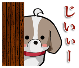 Cool Shih Tzu dog, Ponta. sticker #9166624