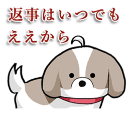 Cool Shih Tzu dog, Ponta. sticker #9166626