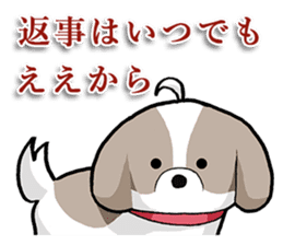 Cool Shih Tzu dog, Ponta. sticker #9166626