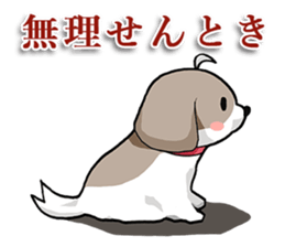 Cool Shih Tzu dog, Ponta. sticker #9166627