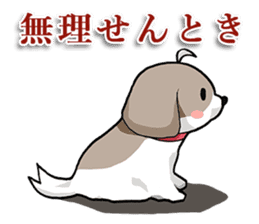 Cool Shih Tzu dog, Ponta. sticker #9166627