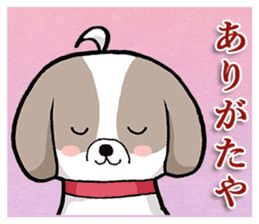 Cool Shih Tzu dog, Ponta. sticker #9166628