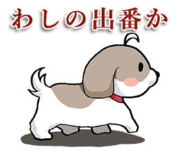 Cool Shih Tzu dog, Ponta. sticker #9166630